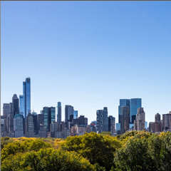 View Over Central Park (DNB / Jungle)