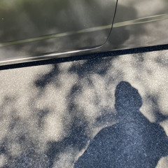 Carolina Rabbit (Hills,Mills,Villes)