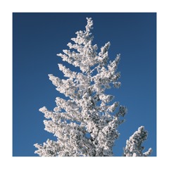 Alpine Techno // Moving Pictures – Deep Dreamy Techno (2023-01-08)