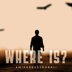 Where Is?_AmirAbbasEghbali