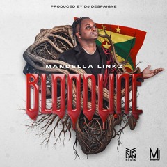 Boy Boy Ft Pebbles X Lil Rass X DJ Despaigne - Bad Company (Soca 2024) [Prod By NG Media Cameroon]