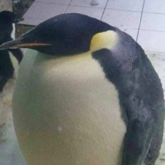 pluggnb + skaiwater + yvngxchris type beat "say this!"