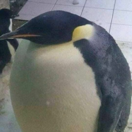 pluggnb + skaiwater + yvngxchris type beat "say this!"