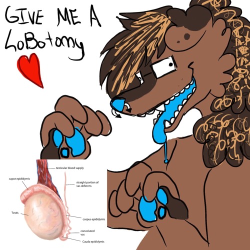 how many licks does it take to get to the middle of a testicle