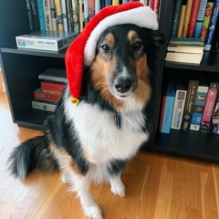 my only wish (this year)