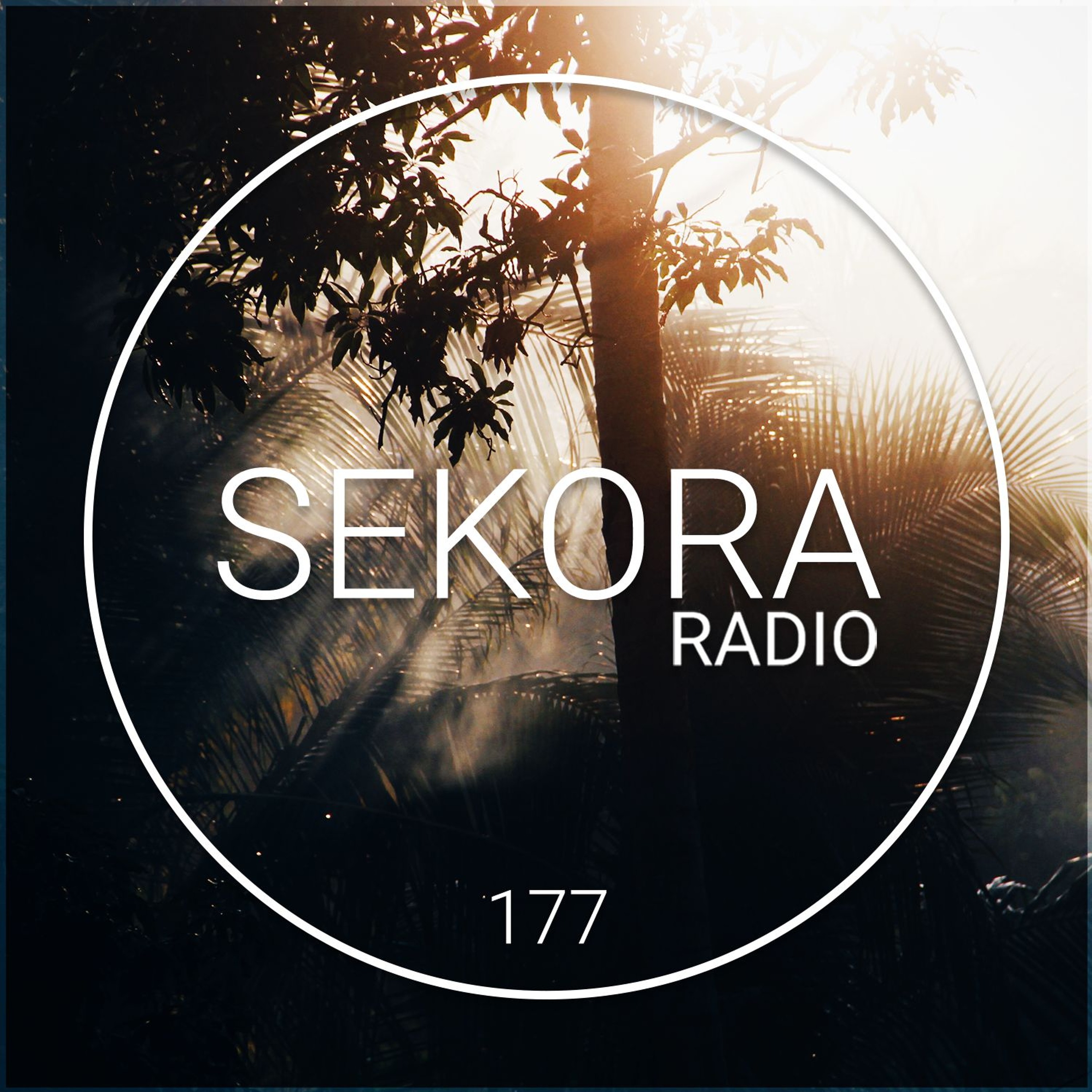Sekora Radio 177 - Leo Lauretti episode artwork