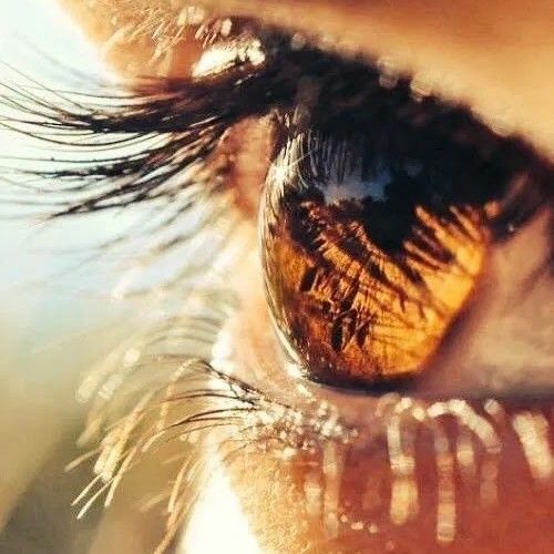 انسان مايسوى - علي البريكي