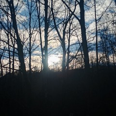 peaceful minecraft ambience