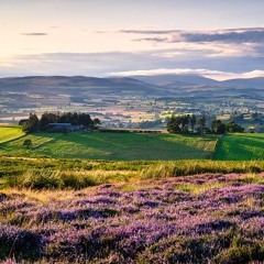 Lordenshaws Hill Fort