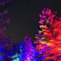 Heartbreaker Christmas