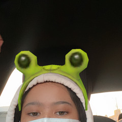 MELAWAN RESTU