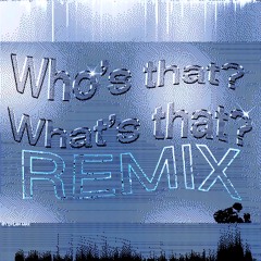 Niko B - Who's That What's That (Dylan Max Bootleg)