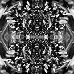 Owl - Parallel Universe [Owl]