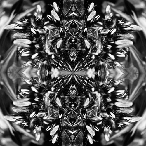 Owl - Parallel Universe [Owl]