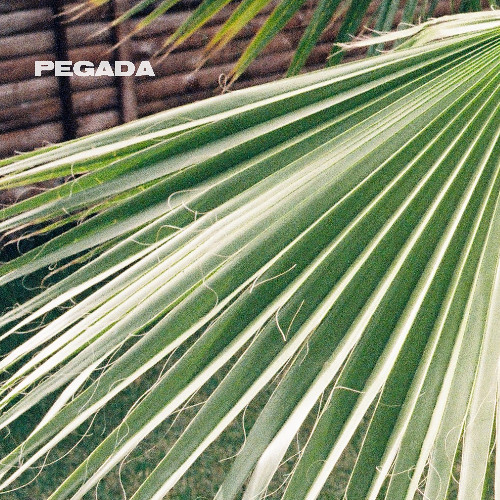 Pegada