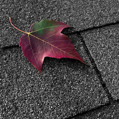 Timing is Everything: Best Season to Replace Your Roof in Texas