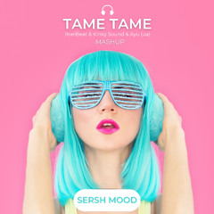 Tame Tame Mashup (RoelBeat & Kinky Sound & Ayu ua)