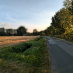 satsittichnicht