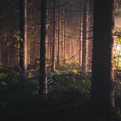 Fireflies (naviarhaiku359)