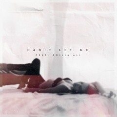 Can't Let Go (Sleeping Lion Remix)