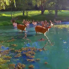 farod - leave me alone