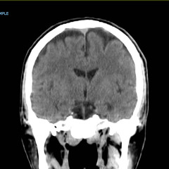 Riley on the storm boomm bam boom boom