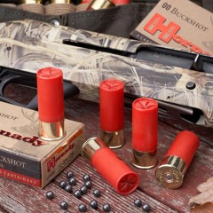 BUCKSHOT