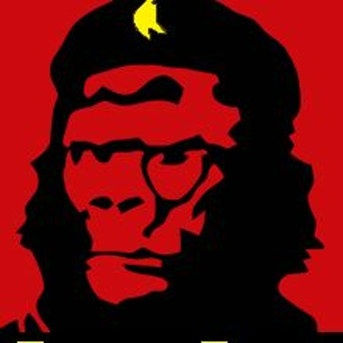 Chris Cook interviews David Rovics for Gorilla Radio
