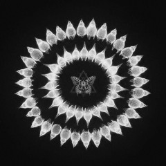 Dreams by Edu Schwartz /// Symetria #23