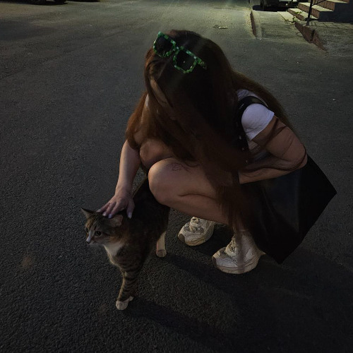 #будьмоимкотенком (bemykitten)