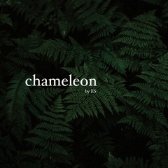 chameleon.