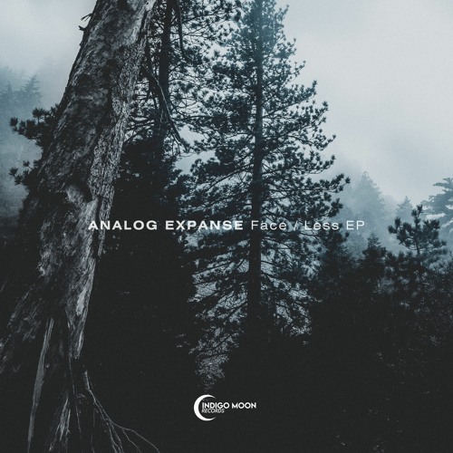 Analog Expanse - Figuring