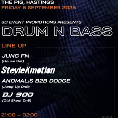 StevieKmotion @ The Pig 5th September 2025