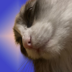 Hard Groove That Makes Your Penar Soft