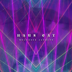 Haus Cat