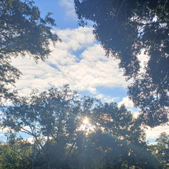 Confession from a boy never doing right things