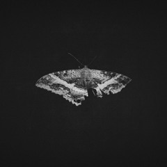 Kendrick Lamar - Green Light