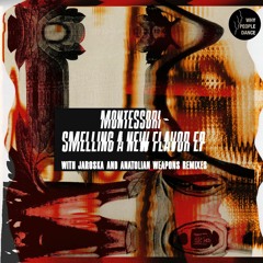 WPD006: Montessori - Smelling A New Flavor EP inc. Jaroška & Anatolian Weapons Remixes (Snippets)