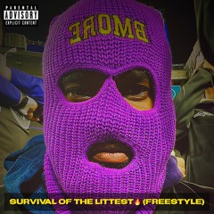 Survival Of Littest (Freestyle)