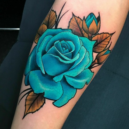 NHA  Cỏ gió và mây ft Kim Nguyễn Official audio_2021- TẠ HIỀN