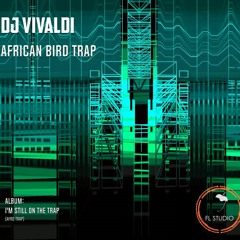 African Bird Trap