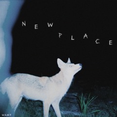"new place." (prod. lilpetrolstation)