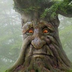 Call Me! (prod. plugghurtz X sgtravis)