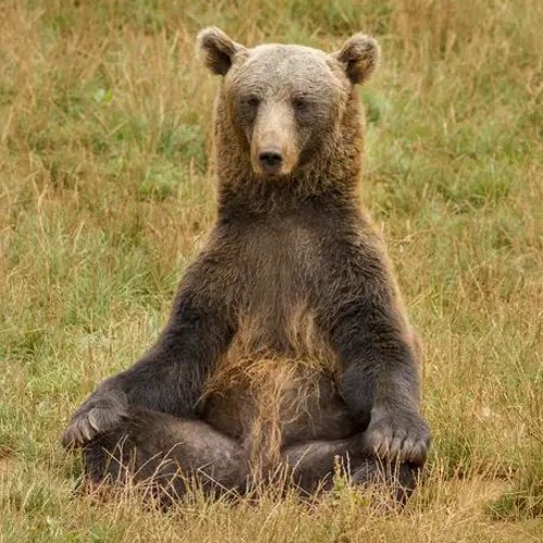 Authority on Relaxation