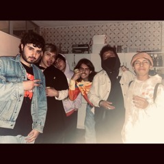 donde están los gatos?