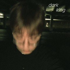 dark king (prod.by  excusemyliquorr & fumiko!)