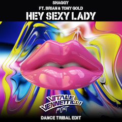 Shaggy - Hey Sexy Lady ft. Brian & Tony Gold (Matteo Vitale , Stefano Vennettilli DANCE TRIBAL EDIT)