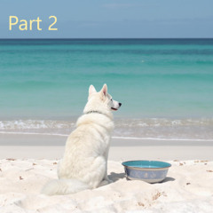 OCEAn2 ( Thirsty Dog Edition)