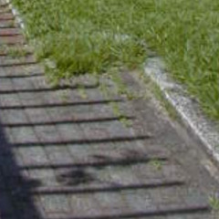 自然(私たちがつくられた)