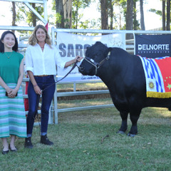 Lucía Zerbino - Toro Angus a China